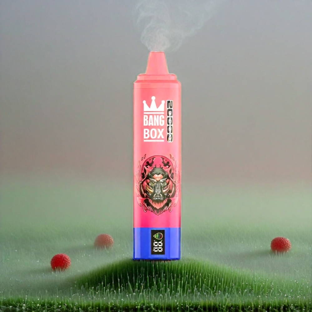 Bang Box 20000 Puffs Italia Ingrosso Vape Lampone Anguria - 0% 2% 3% 5% Nicotina, 35ml E-Liquido, 850mAh Ricaricabile, Schermo Intelligente, Mesh Coil, 200 Pezzi per Cartone