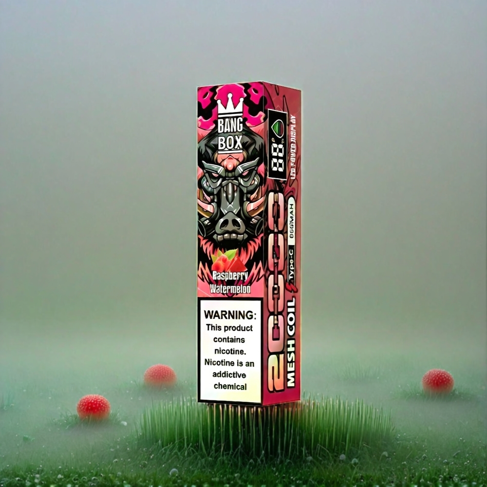 Bang Box 20000 Puffs Italia Ingrosso Vape Lampone Anguria - 0% 2% 3% 5% Nicotina, 35ml E-Liquido, 850mAh Ricaricabile, Schermo Intelligente, Mesh Coil, 200 Pezzi per Cartone