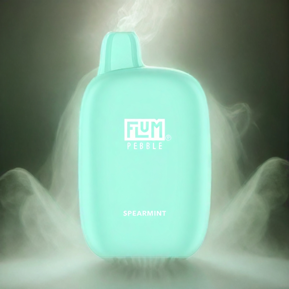 Flum Pebble 6000 Puffs Italia Ingrosso Spearmint 10ml 5% Nic Mesh Coil Ricaricabile