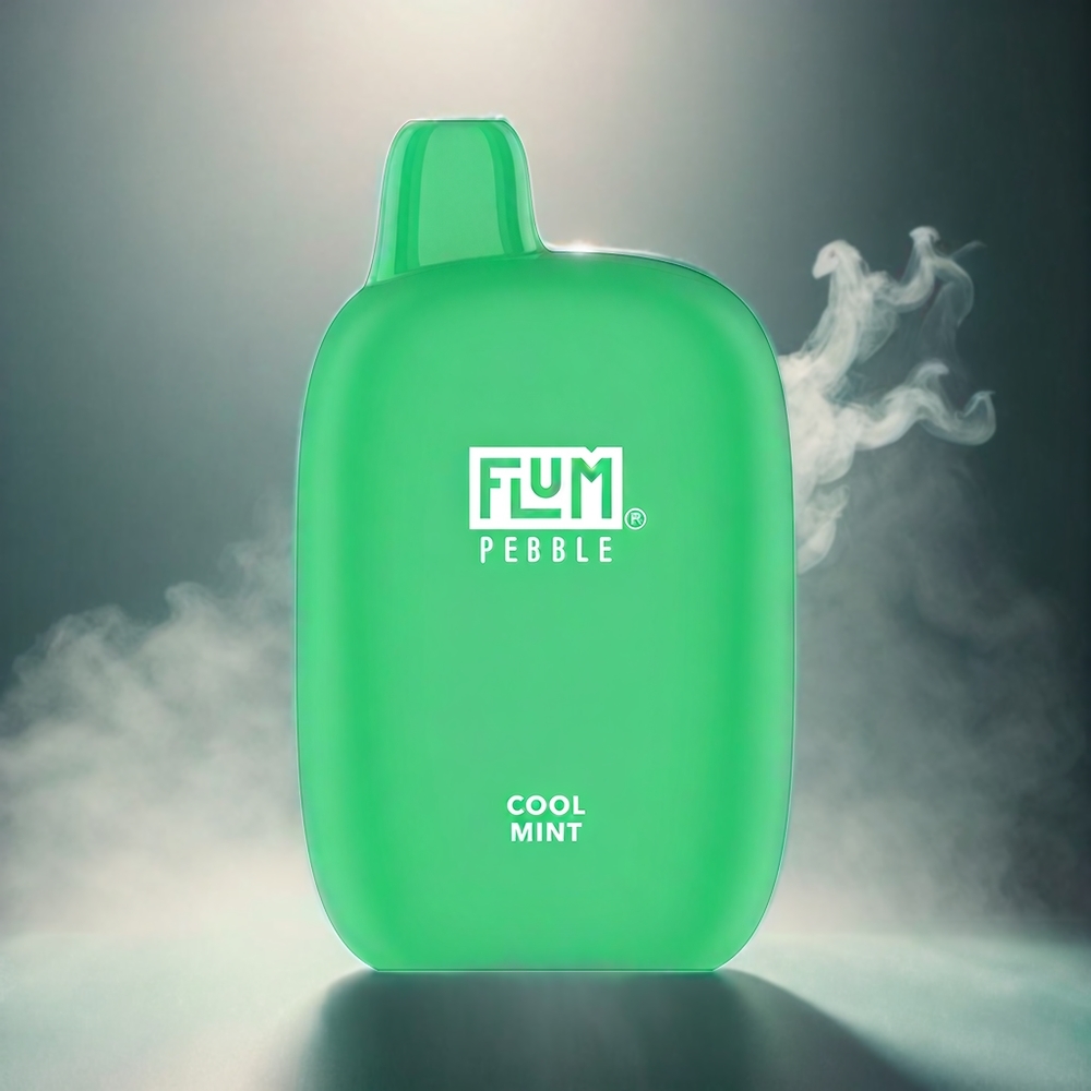 Flum Pebble 6000 Puffs Italia Ingrosso Vapo alla Menta Fresca – 10ml, 5% Nicotina, Batteria 500mAh, Ricaricabile USB Type-C