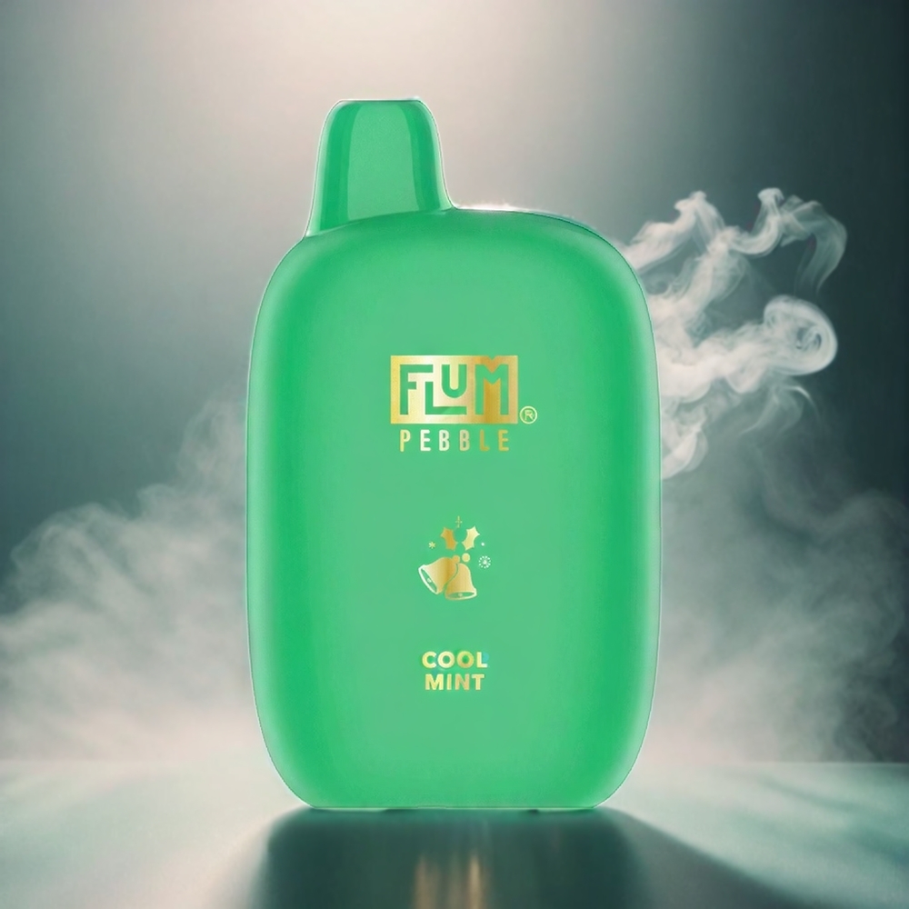 Flum Pebble 6000 Puffs Italia Ingrosso Vapo alla Menta Fresca – 10ml, 5% Nicotina, Batteria 500mAh, Ricaricabile USB Type-C