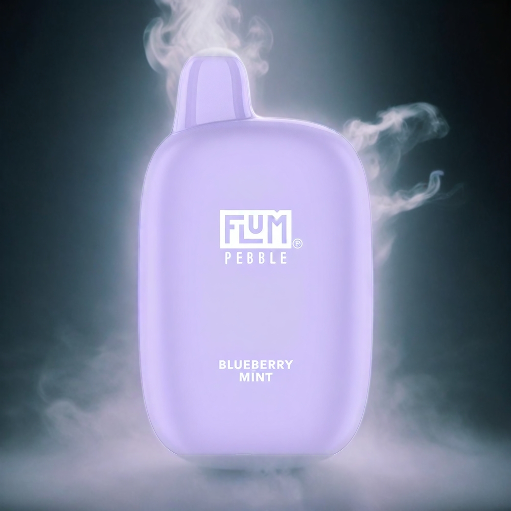 Italia Ingrosso Flum Pebble 6000 Puffs Vape Mirtillo con 10ml E-liquid, 5% Nicotina, Batteria 500mAh e Ricarica Type-C