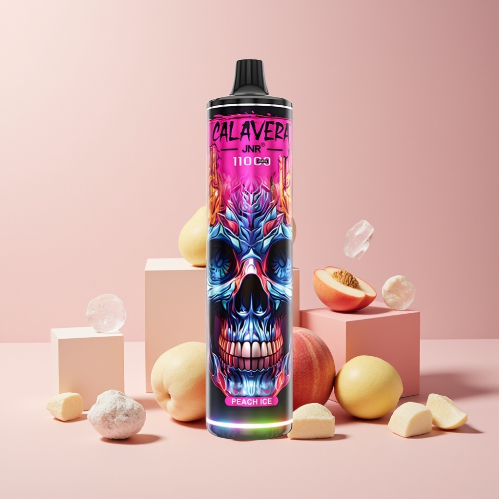 JNR Calavera 11000 Puff Italia Ingrosso Disposable Vape Pesca Ghiaccio 21ml 850mAh Type-C
