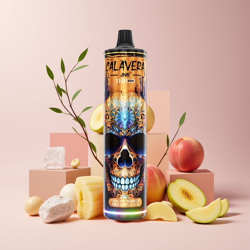 JNR Calavera Italia Ingrosso 11000 Puff Pesca Mango Ananas Ghiaccio Dispositivo Vapo usa e getta con Tipo-C, 850mAh, 21ml, 1.0ohm Mesh