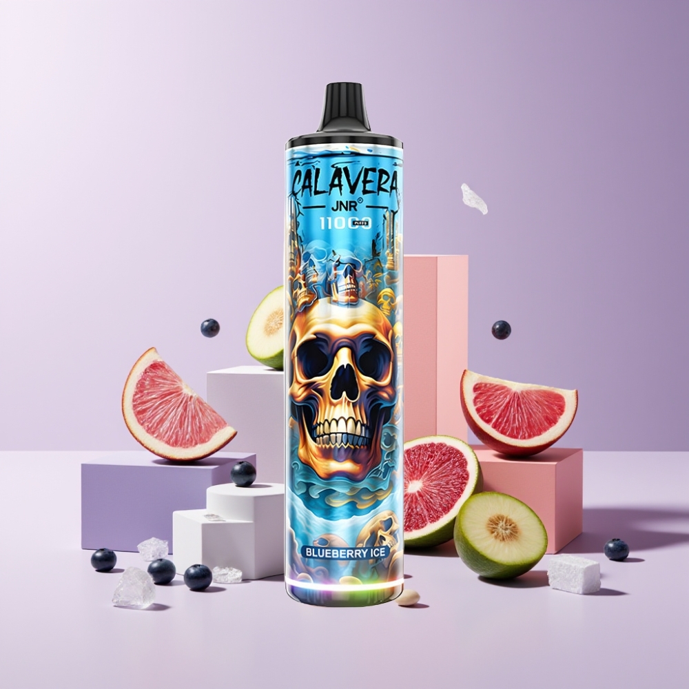 JNR Calavera Italia ingrosso 11000 Puff Blu Mirtillo Ghiaccio Disposable Vape con 850mAh 21ml 1.0ohm Mesh