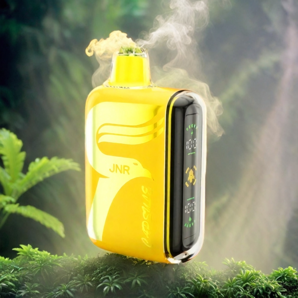 JNR Capsule 15000 Puffs Italia Ingrosso Vape Taopical Punch – 20ml E-liquid, 850mAh, Bobina a doppia maglia, Display LED intelligente, Boost Mode, Type-C Quick Charge