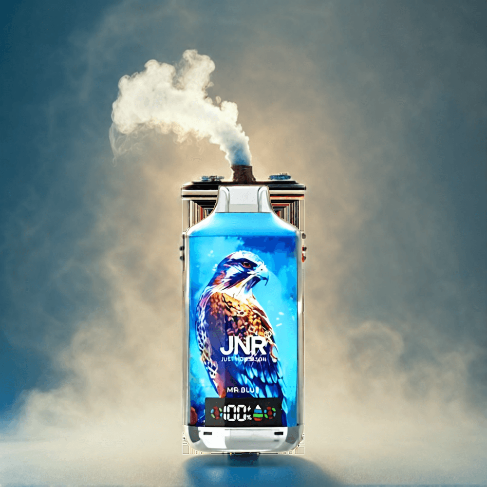 JNR Falcon X 18000 Puffs Vape Mr. Blue Italia Ingrosso - 24ml E-liquid, 750mAh, Bobina a doppia maglia