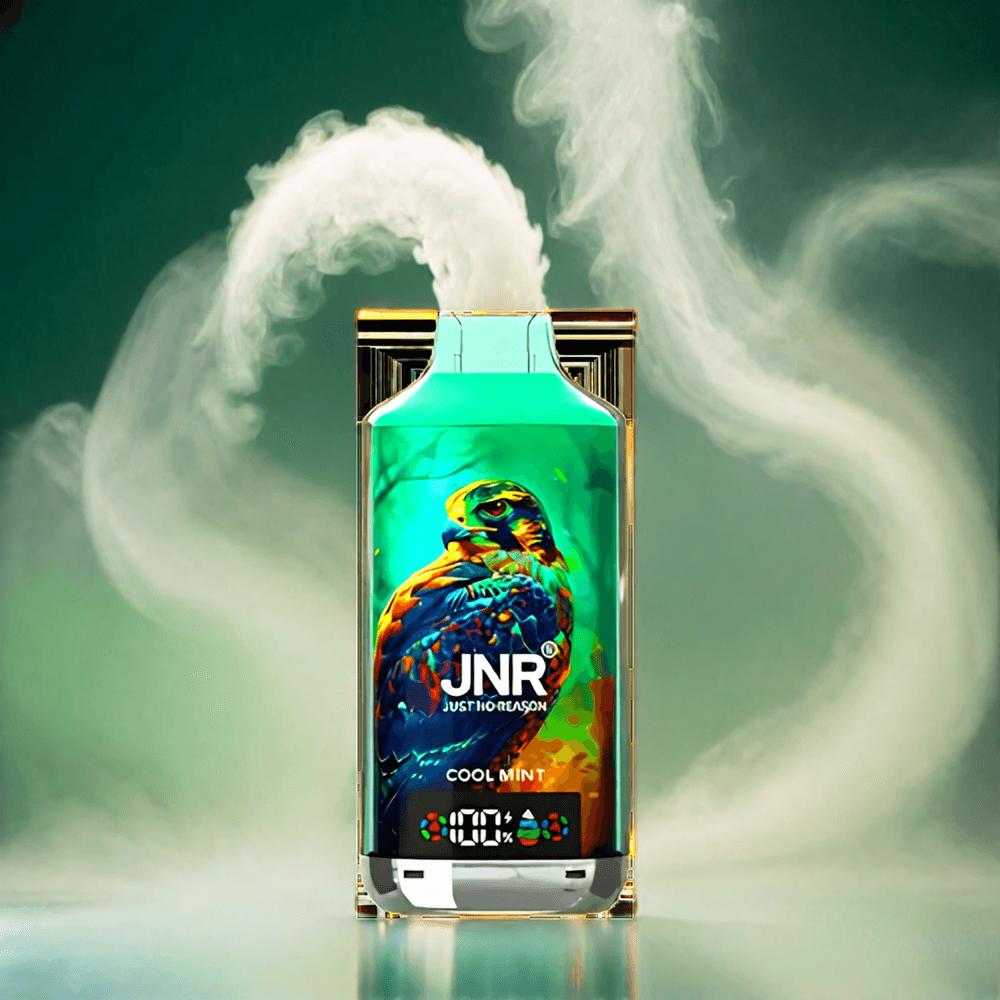 JNR Falcon X Italia Ingrosso 18000 Puffs Vape Menta Fresca con Batteria 750mAh, Bobina a doppia maglia & Display Digitale