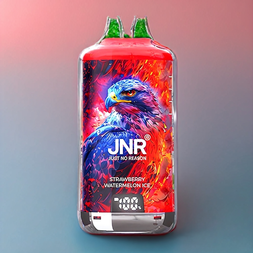 JNR Falcon X⁺ 28000 Puff Fragola Anguria Ghiaccio Italia ingrosso con Ricarica dall'Alto, 2 10ml E-liquid, Batteria 950mAh, Schermo Indicatore