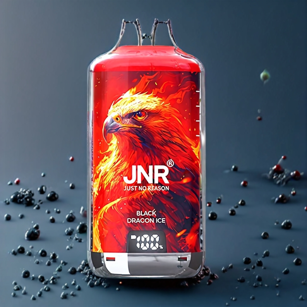 JNR Falcon X⁺ 28000 Puff Italia Ingrosso – Drago Nero Ghiaccio – Ricaricabile con Schermo Batteria, 2 10ml E-Liquido, Coil Dual Mesh 1.2Ω, Porta Type-C, 950mAh