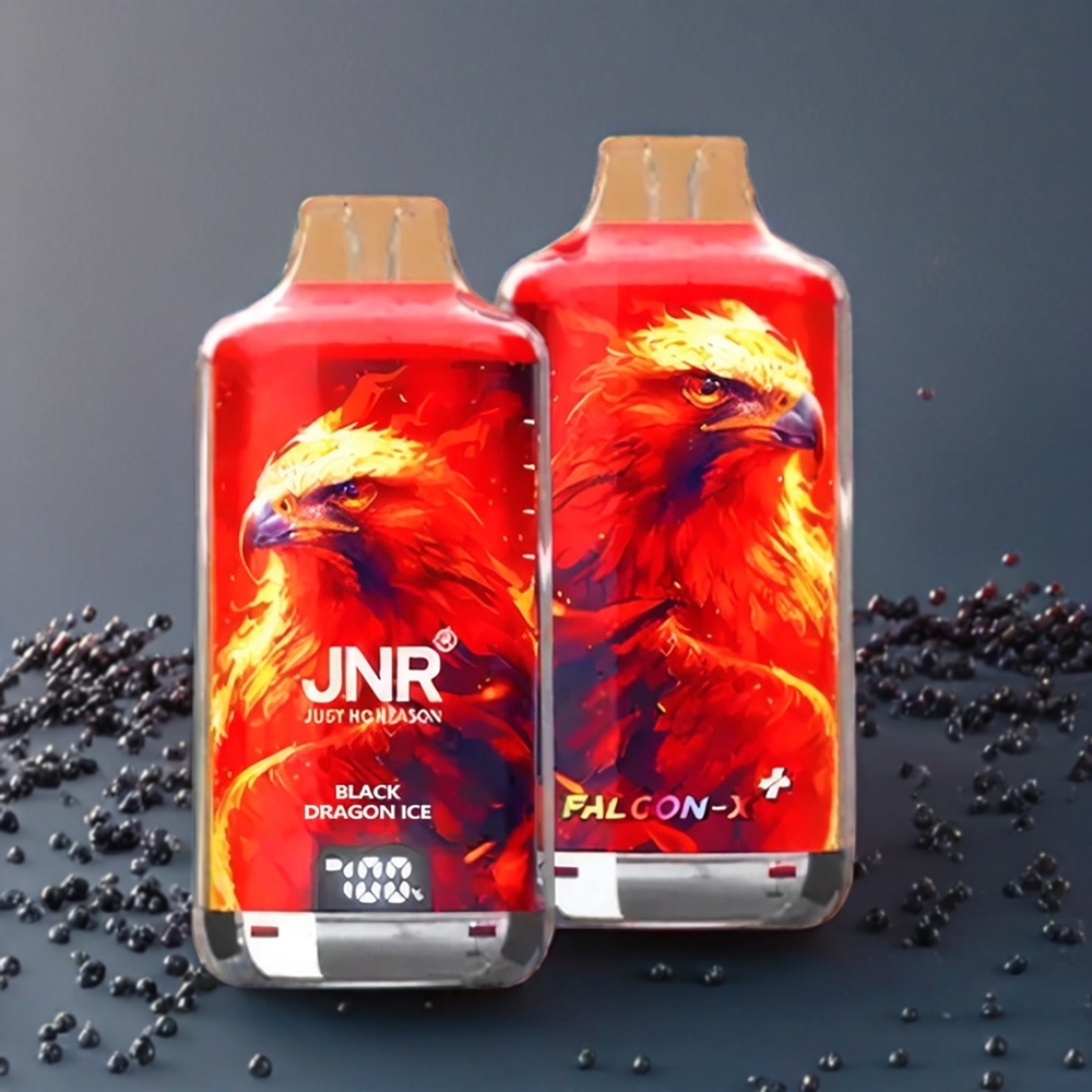JNR Falcon X⁺ 28000 Puff Italia Ingrosso – Drago Nero Ghiaccio – Ricaricabile con Schermo Batteria, 2 10ml E-Liquido, Coil Dual Mesh 1.2Ω, Porta Type-C, 950mAh