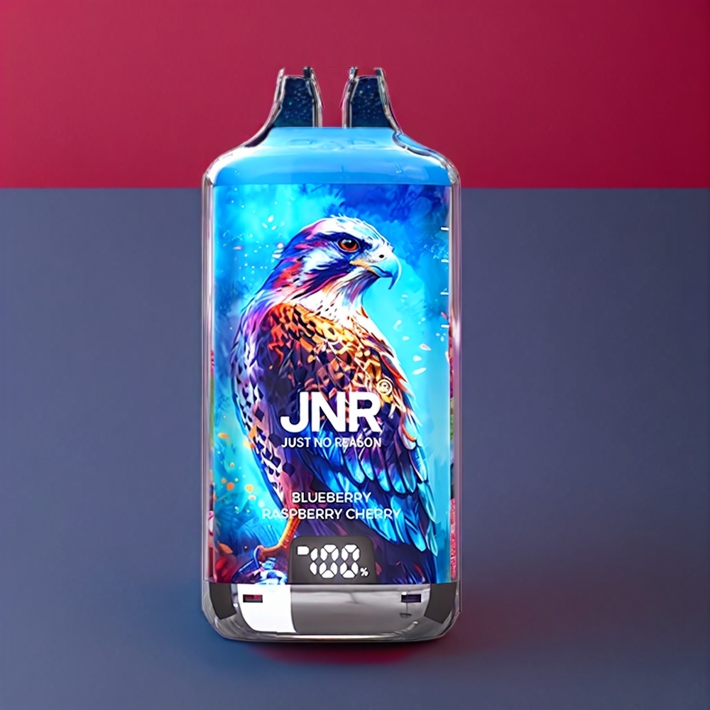 JNR Falcon X⁺ 28000 Puff Italia Ingrosso Mirtillo Lampone Ciliegia con Schermo Batteria, Ricarica Top e Liquido Visibile