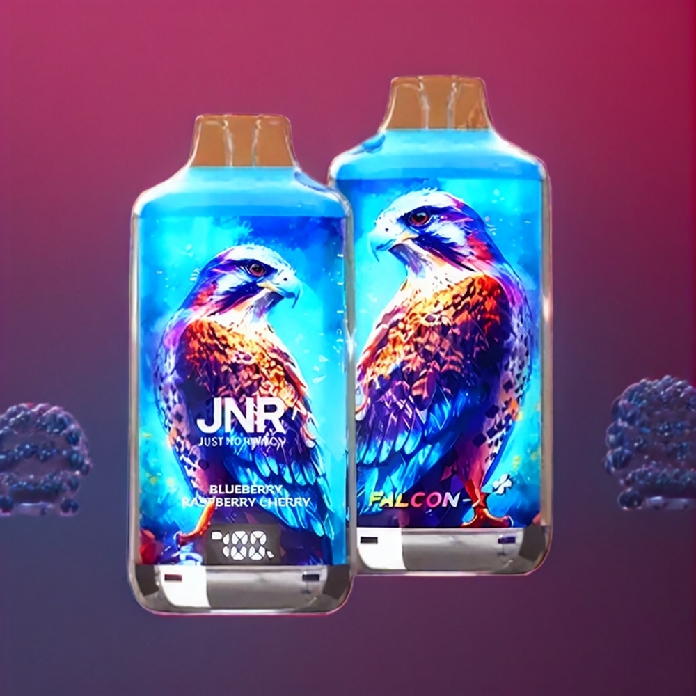 JNR Falcon X⁺ 28000 Puff Italia Ingrosso Mirtillo Lampone Ciliegia con Schermo Batteria, Ricarica Top e Liquido Visibile