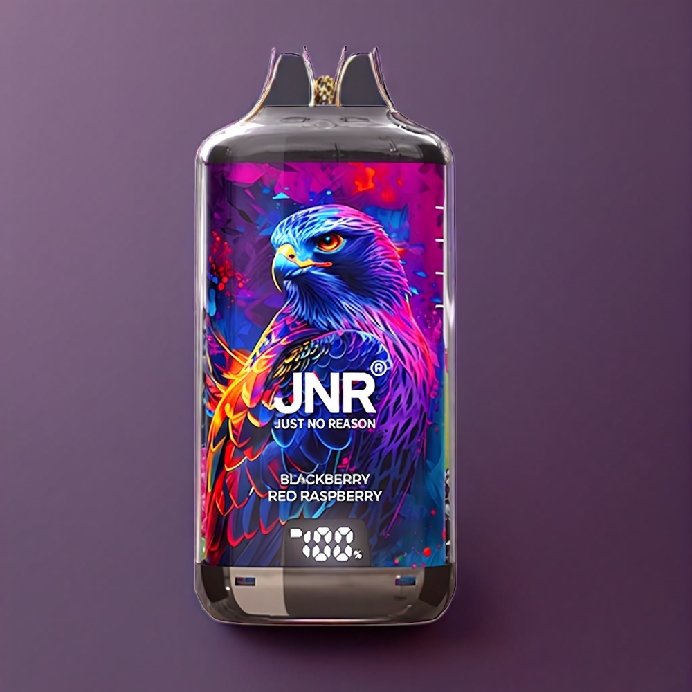 JNR Falcon X⁺ 28000 Puff Italia Ingrosso – More Nero Lampone Rosso con Schermo Batteria, Ricarica Type-C, 2 10ml E-Liquido, Coil Dual Mesh 1.2Ω Pre-primed
