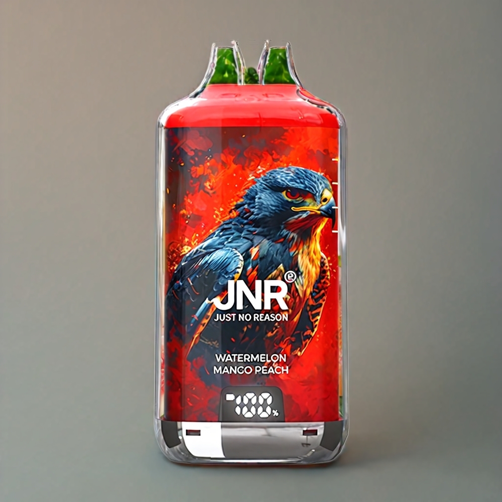 JNR Falcon X⁺ 28000 Puff Italia Ingrosso con Livelli di Liquido Visibili, Ricarica dall'Alto, 2 10ml Bottiglie di E-Liquido, 950mAh Batteria, Anguria Mango Pesca