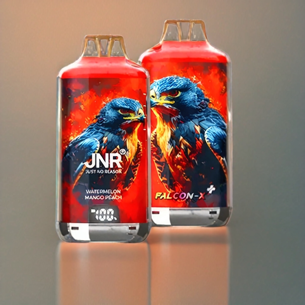 JNR Falcon X⁺ 28000 Puff Italia Ingrosso con Livelli di Liquido Visibili, Ricarica dall'Alto, 2 10ml Bottiglie di E-Liquido, 950mAh Batteria, Anguria Mango Pesca