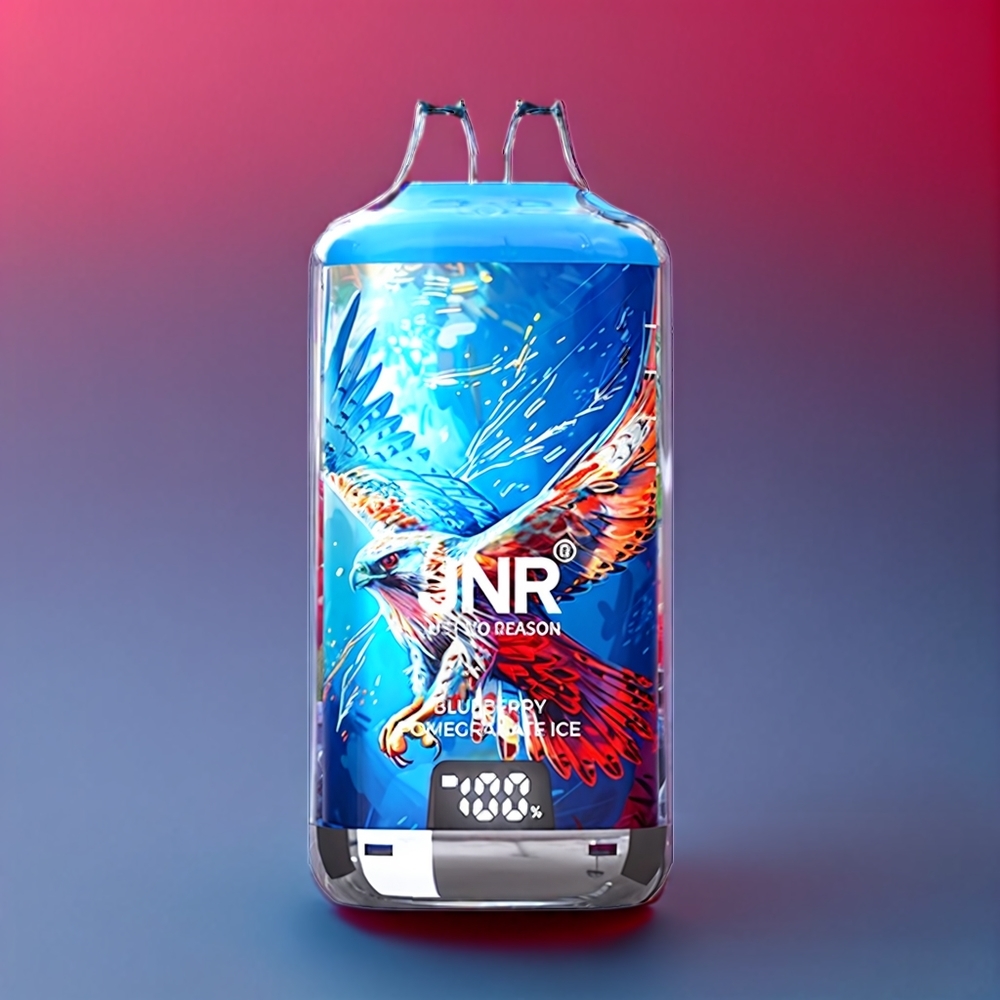 JNR Falcon X⁺ 28000 Puff Italia ingrosso con Livello di Liquido Visibile, Ricarica dall'Alto, 1.2Ω Dual Bobina a maglie Pre-primato