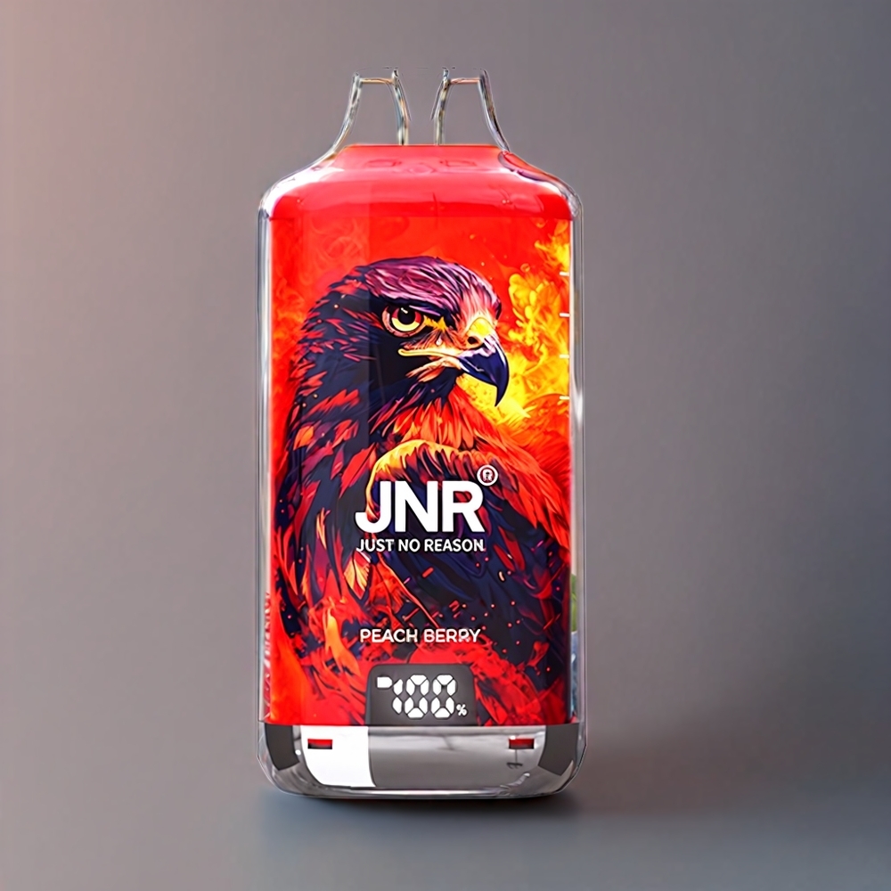 JNR Falcon X⁺ 28000 Puff Pesca e Bacca Italia Ingrosso con 950mAh, Ricarica Type-C, 2 10ml E-Liquid, Schermo Batteria e Livello Liquido Visibile