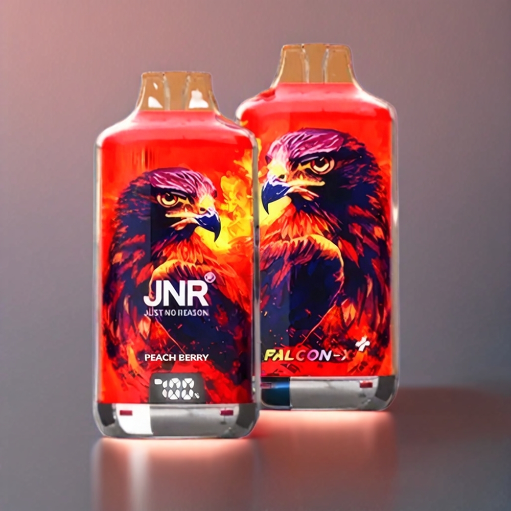 JNR Falcon X⁺ 28000 Puff Pesca e Bacca Italia Ingrosso con 950mAh, Ricarica Type-C, 2 10ml E-Liquid, Schermo Batteria e Livello Liquido Visibile
