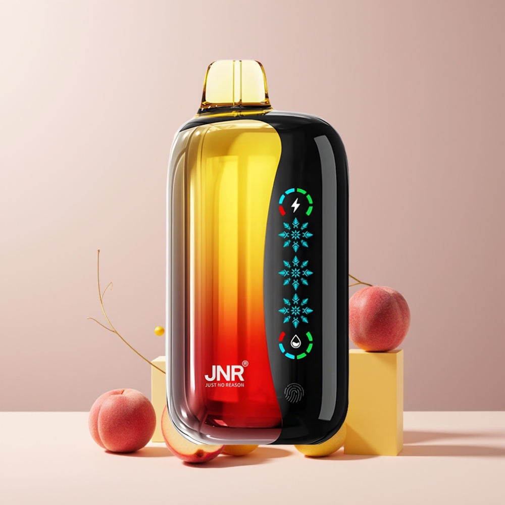 JNR Flex Ice Italia Ingrosso 21000 Puff Pesca Mango Ananas con Schermo Touch, Airflow Regolabile e Batteria 1000mAh