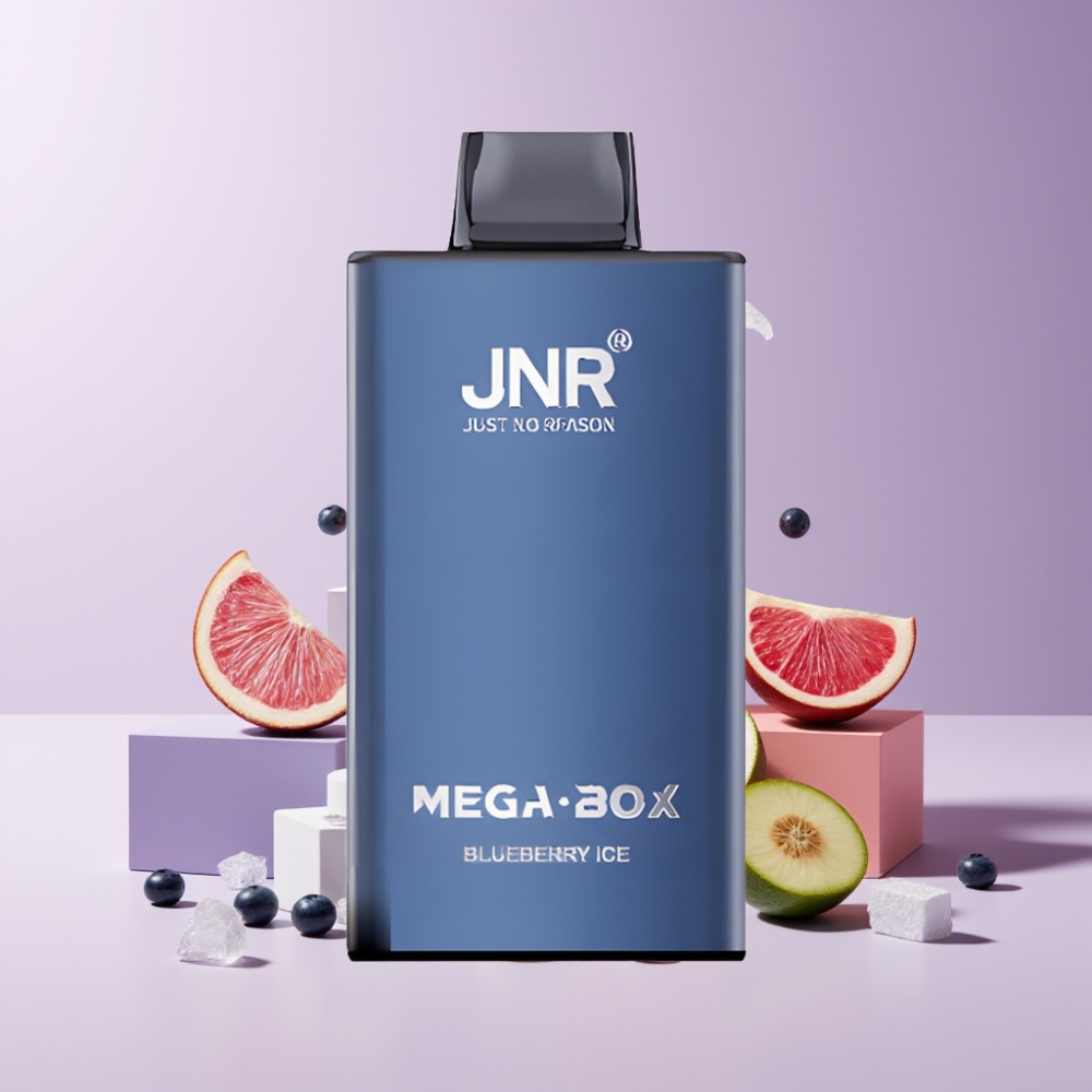 JNR Mega Box 25000 Puff Italia Ingrosso Disposable Vape Mirtillo Ghiaccio 30ml 850mAh Dual Mesh