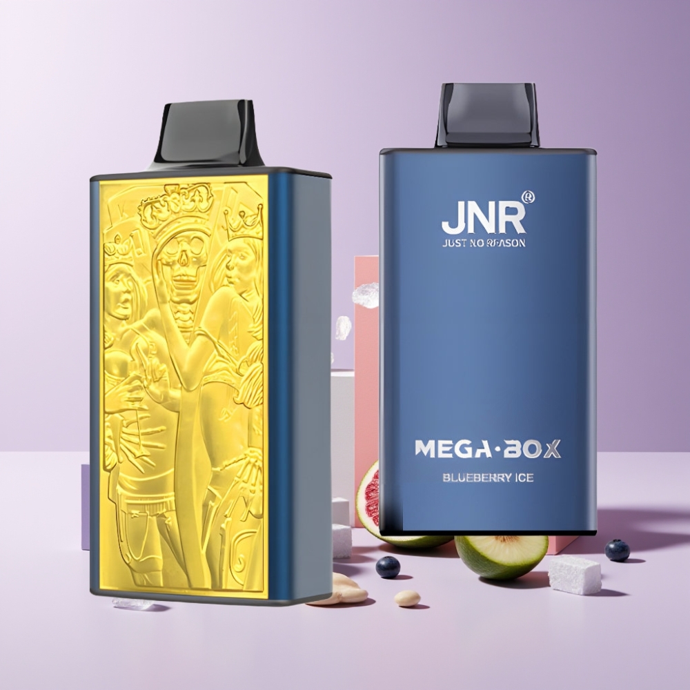 JNR Mega Box 25000 Puff Italia Ingrosso Disposable Vape Mirtillo Ghiaccio 30ml 850mAh Dual Mesh