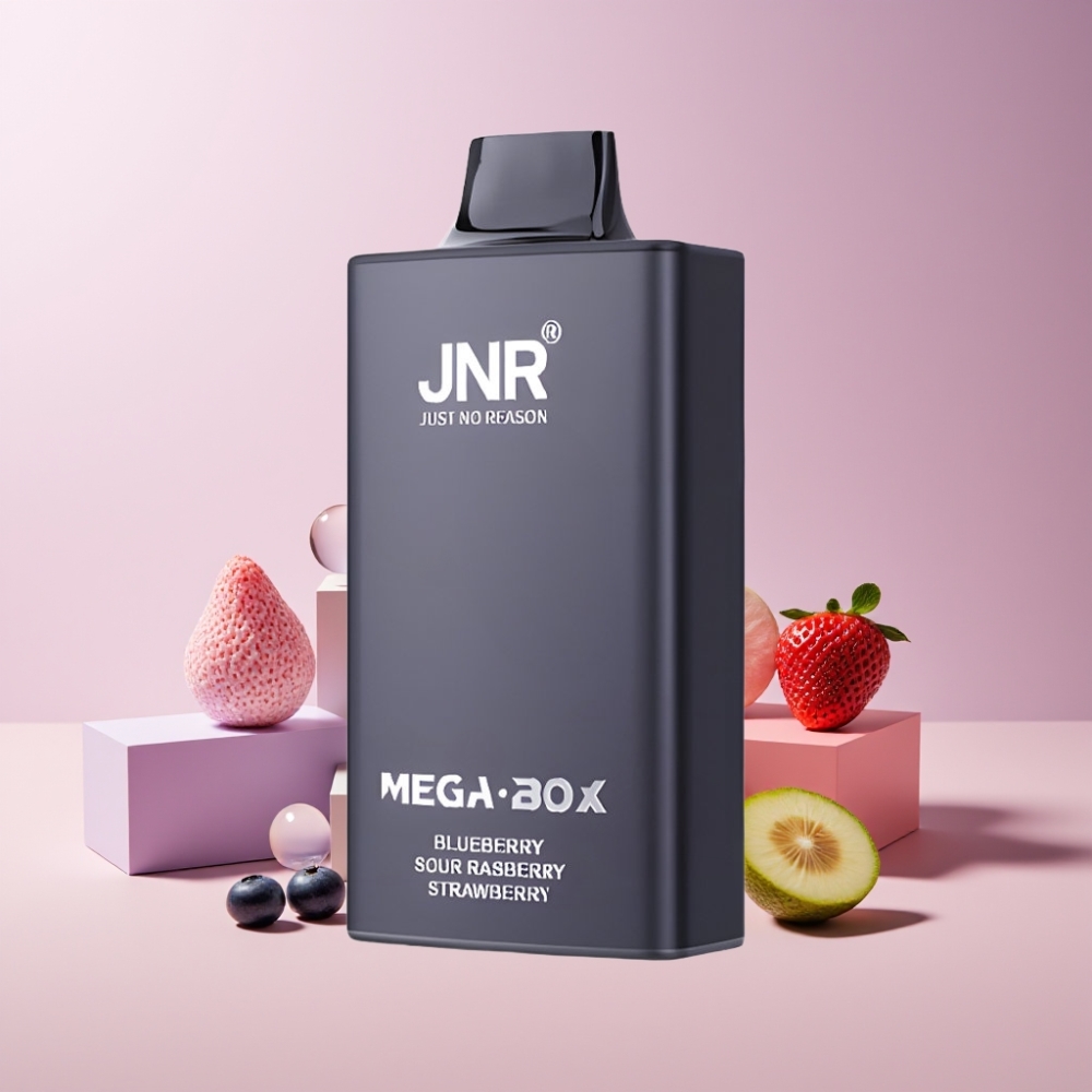 JNR Mega Box Italia Ingrosso 25000 Puff Disposable Vape Mirtillo Lampone Fragola, 30ml, 850mAh, Dual Mesh Coil