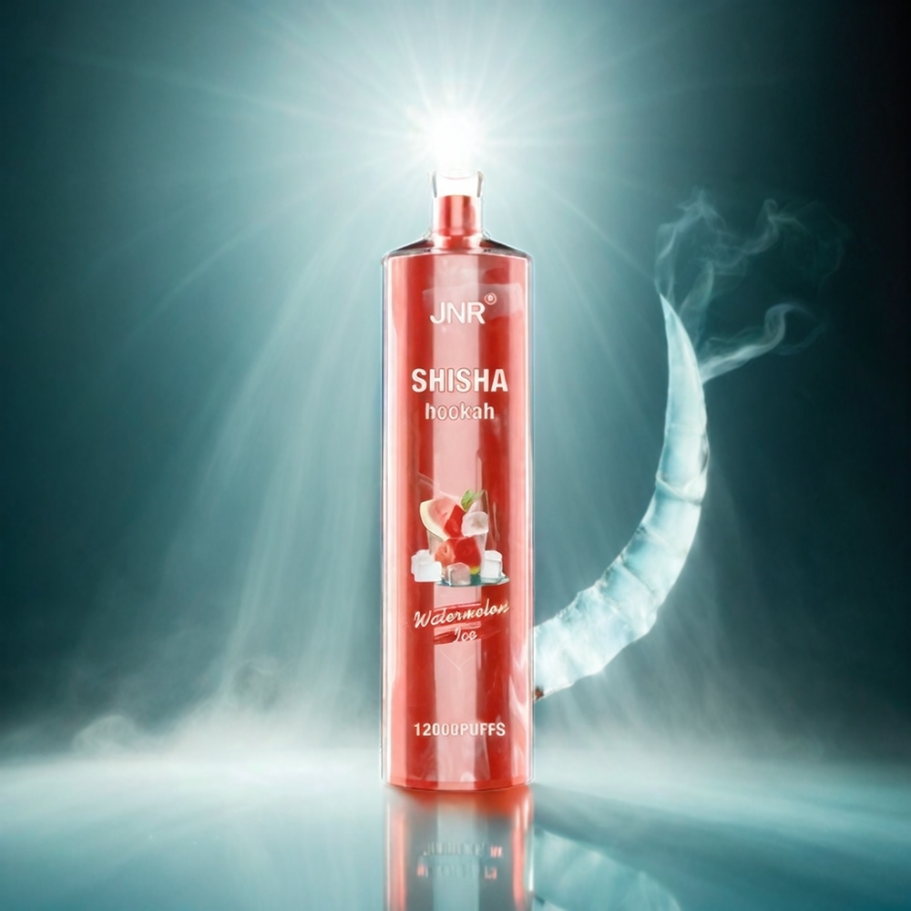 Italia Ingrosso JNR Shisha Hookah 12000 Puffs Ghiaccio Anguria con 750mAh, 24ml e ricarica Type-C