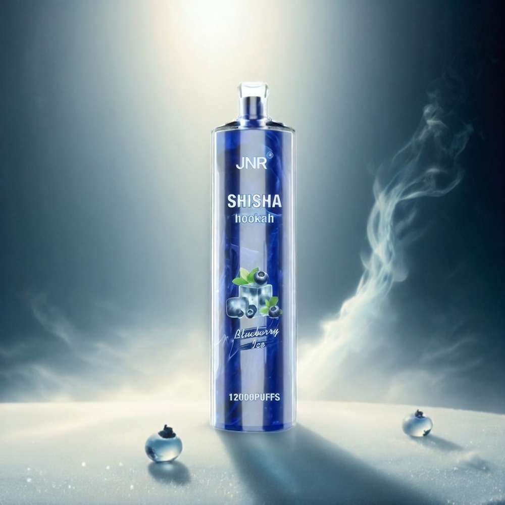 JNR Shisha Hookah 12000 Puffs - Mirtillo Ghiaccio Italia Ingrosso - 750mAh, 24ml, Mesh 0.6 Ohm, Tipo-C