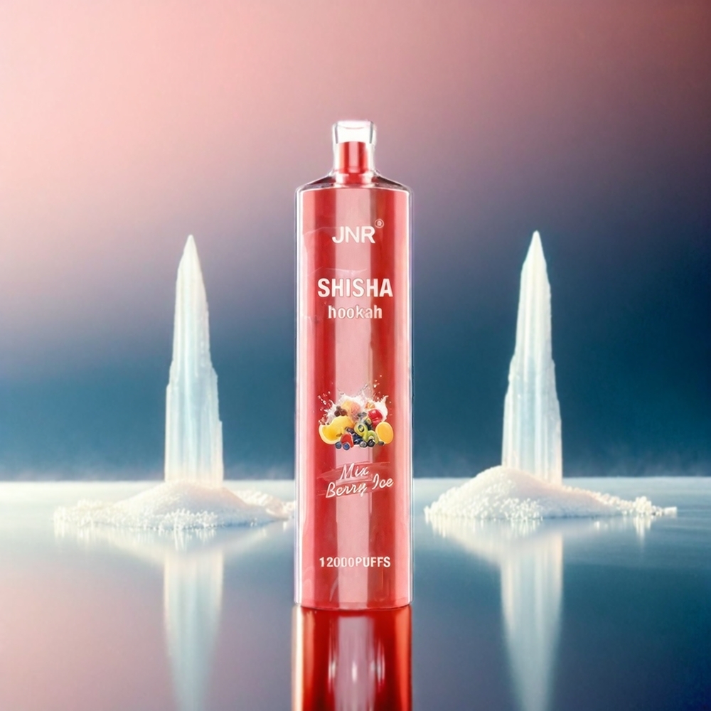 JNR Shisha Hookah Italia Ingrosso 12000 Puffs - Berry Ice (Ghiaccio di Bosco) - 750mAh Batteria, 24ml E-liquid, 0.6 Ohm Mesh Coil, Type-C Charging