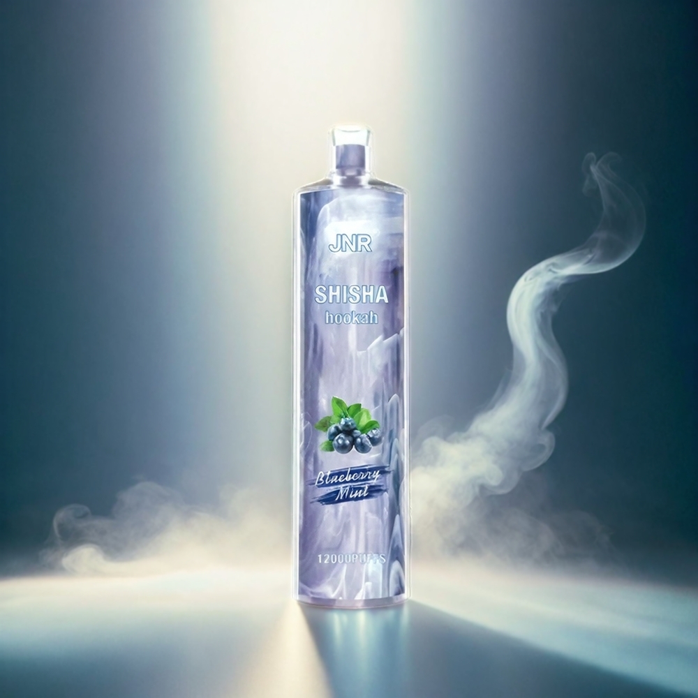 JNR Shisha Hookah Italia Ingrosso 12000 Puffs Blu Mirtillo Menta - 750mAh, 24ml, 0.6 Ohm Mesh
