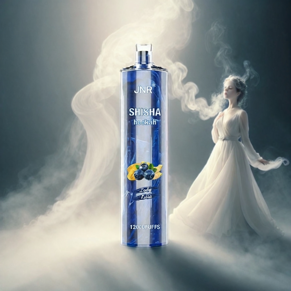 JNR Shisha Hookah Italia Ingrosso 12000 Puffs Vape Lady Killa - 24ml E-Liquid, 750mAh, 0.6 Ohm Mesh Coil, Type-C