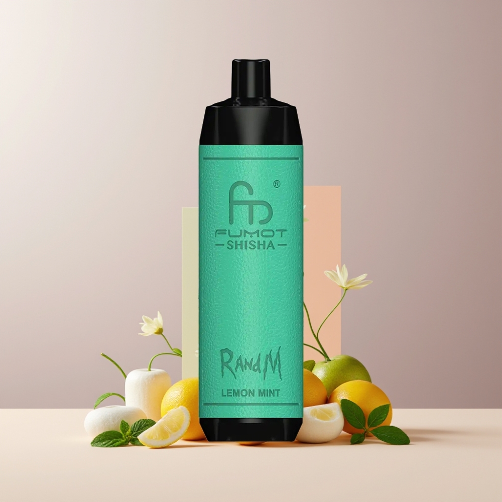 RandM Fumot Shisha 10000 Puff Italia Ingrosso Disposable Vape Limone Menta, 18ml, 850mAh, Tipo-C