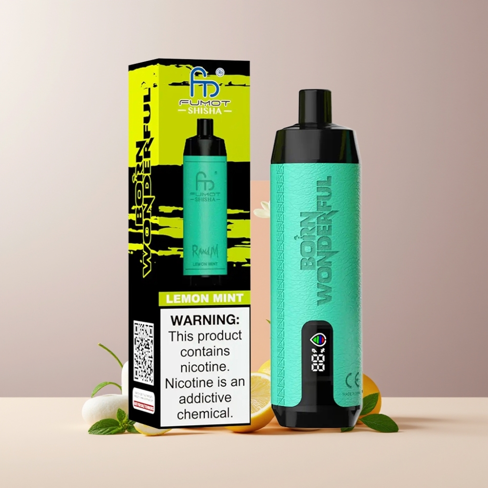 RandM Fumot Shisha 10000 Puff Italia Ingrosso Disposable Vape Limone Menta, 18ml, 850mAh, Tipo-C