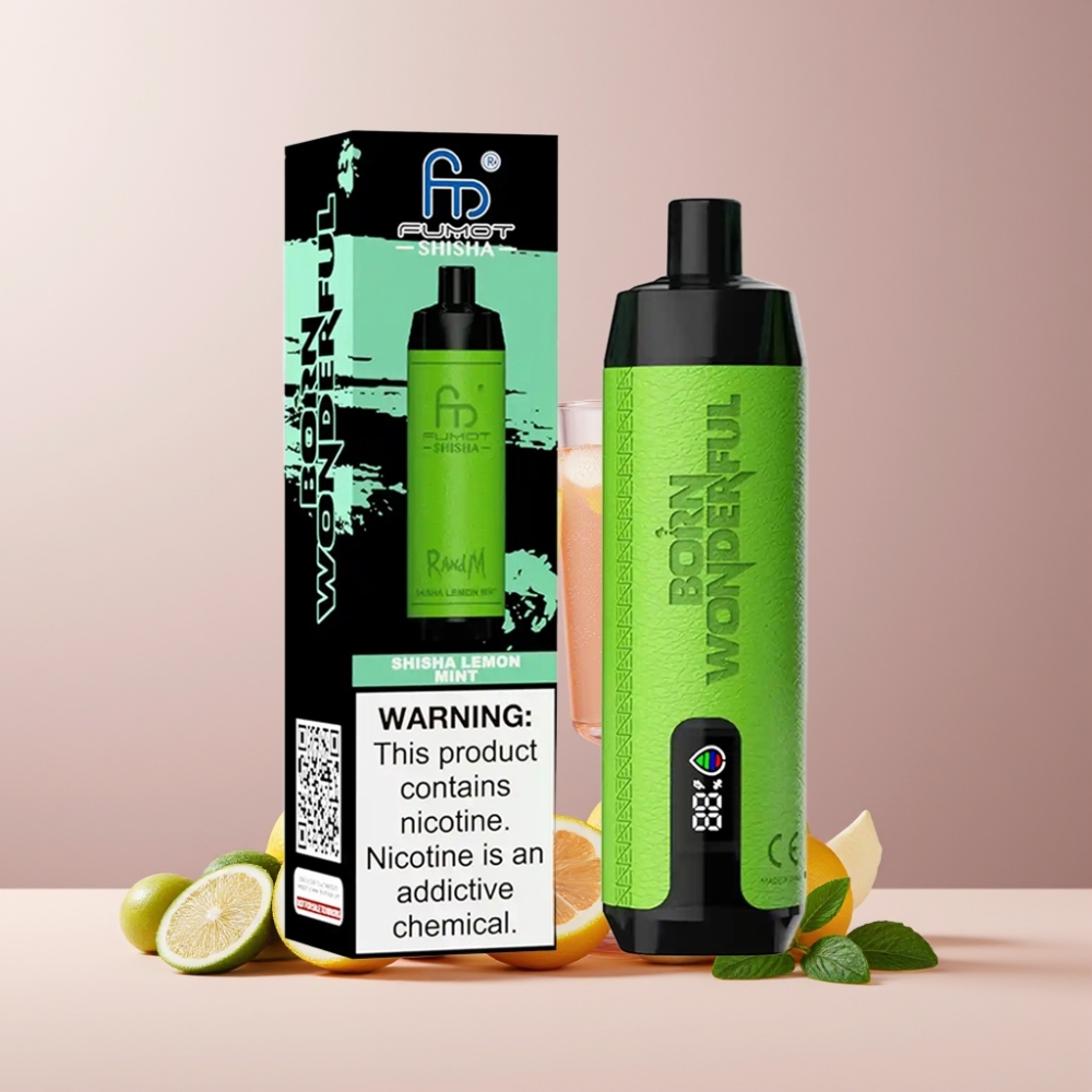 RandM Fumot Shisha 10000 Puff Italia Ingrosso Disposable Vape Limone Menta con LED, 18ml, 850mAh, Tipo-C