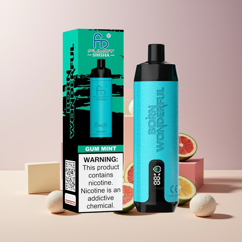 RandM Fumot Shisha 10000 Puff Italia Ingrosso Disposable Vape Menta Gommoso, 18ml, 850mAh, Tipo-C