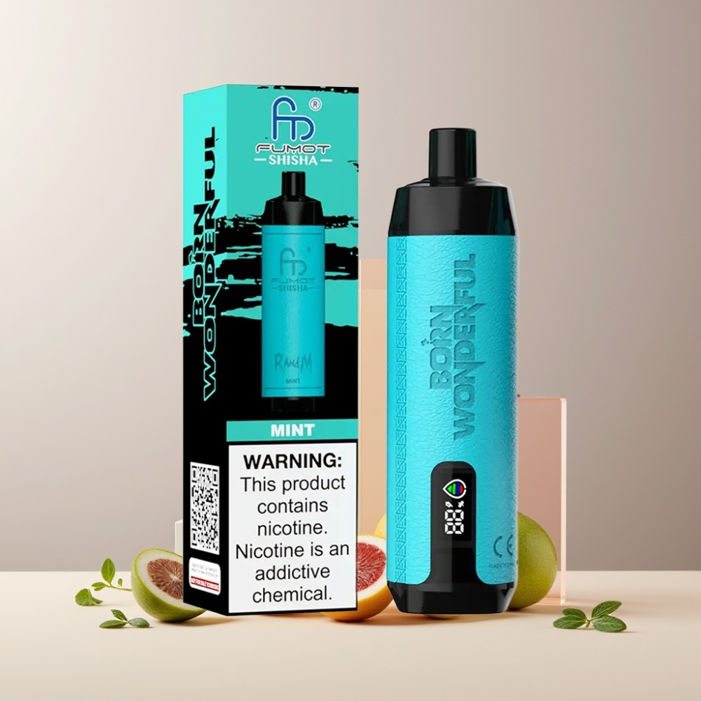 RandM Fumot Shisha 10000 Puff Italia Ingrosso Disposable Vape Menta con LED, 18ml, 850mAh, Tipo-C
