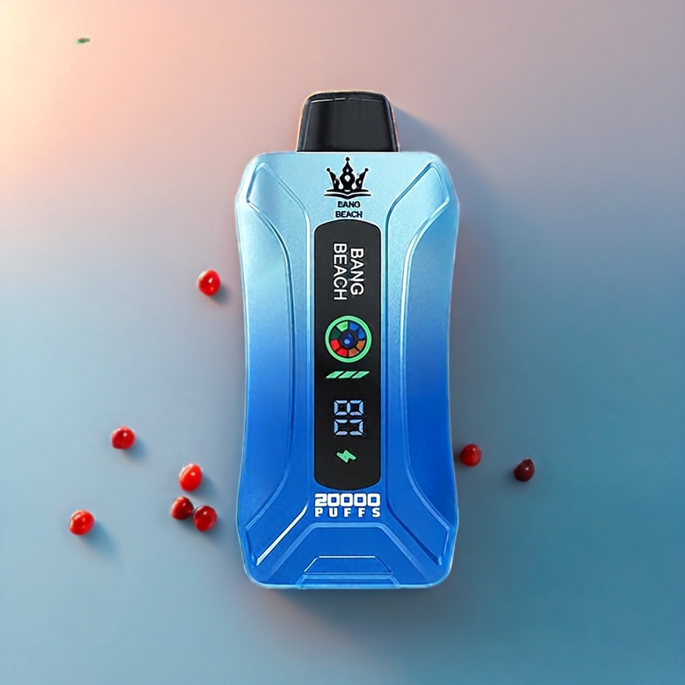 Bang Beach 20000 Puffs Italia Ingrosso vape monouso Mirtillo Ghiaccio Blu