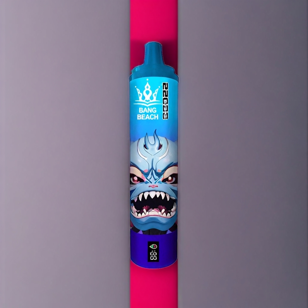 Bang Beach Italia Ingrosso 22000 Puff vape monouso Mirtillo Lampone