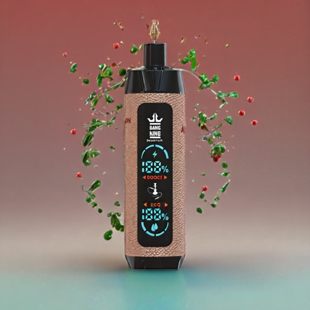Bang King Shisha 25000 Puff Italia Ingrosso vape monouso Shisha Limone Menta con 30ml E-Liquid, 650 mAh Batteria e Tipo-C