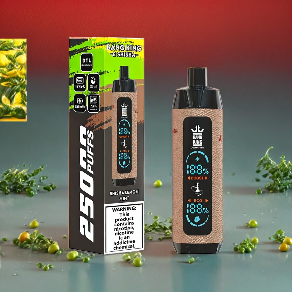 Bang King Shisha 25000 Puff Italia Ingrosso vape monouso Shisha Limone Menta con 30ml E-Liquid, 650 mAh Batteria e Tipo-C