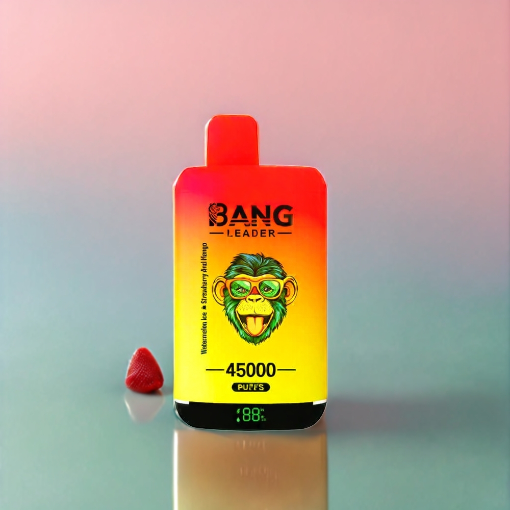 Bang Leader 45000 Puff Italia Ingrosso vape monouso Anguria Ghiaccio Fragola Mango