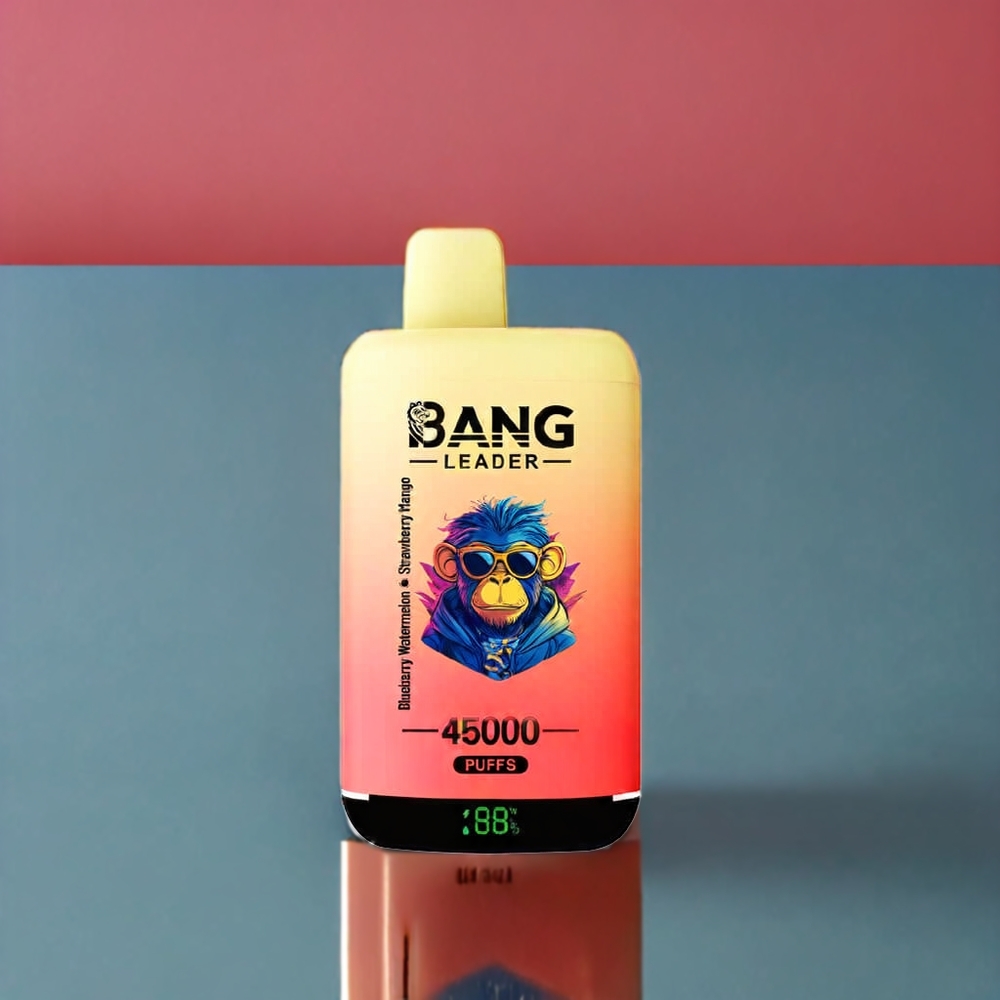 Bang Leader 45000 Puff Italia Ingrosso vape monouso Mirtillo Anguria Fragola Mango