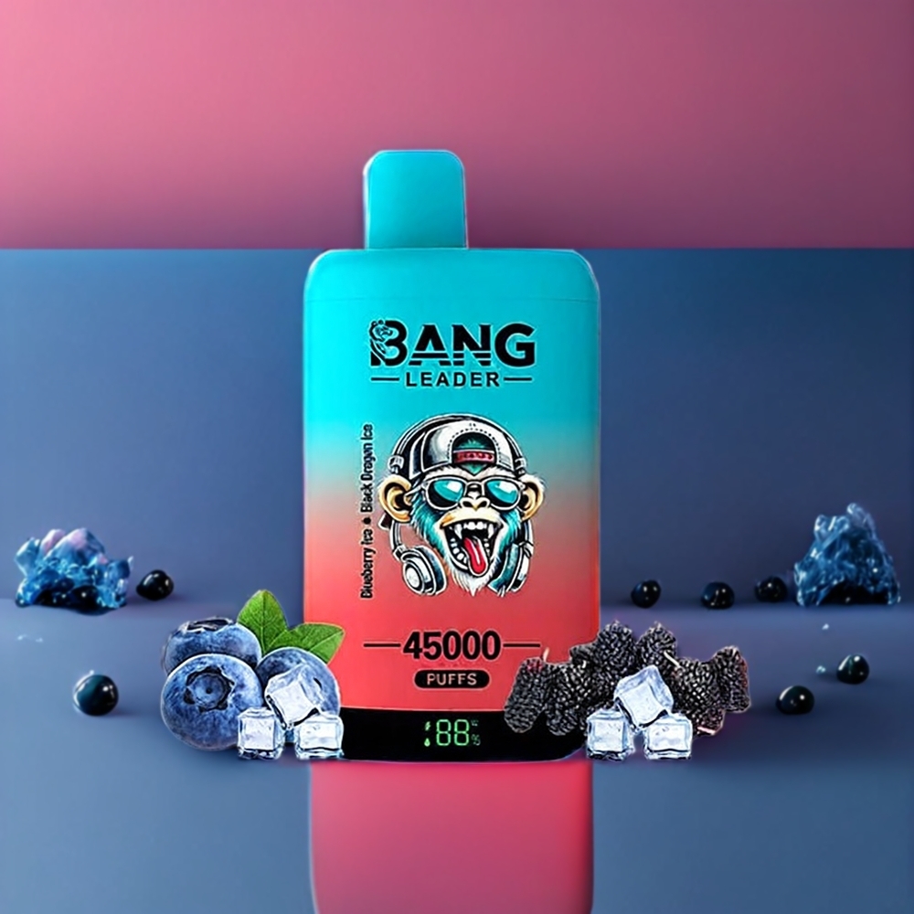 Bang Leader 45000 Puffs vape monouso Italia Ingrosso Mirtillo Ghiaccio Dragone Nero Ghiaccio con Schermo Intelligente e Tipo-C USB