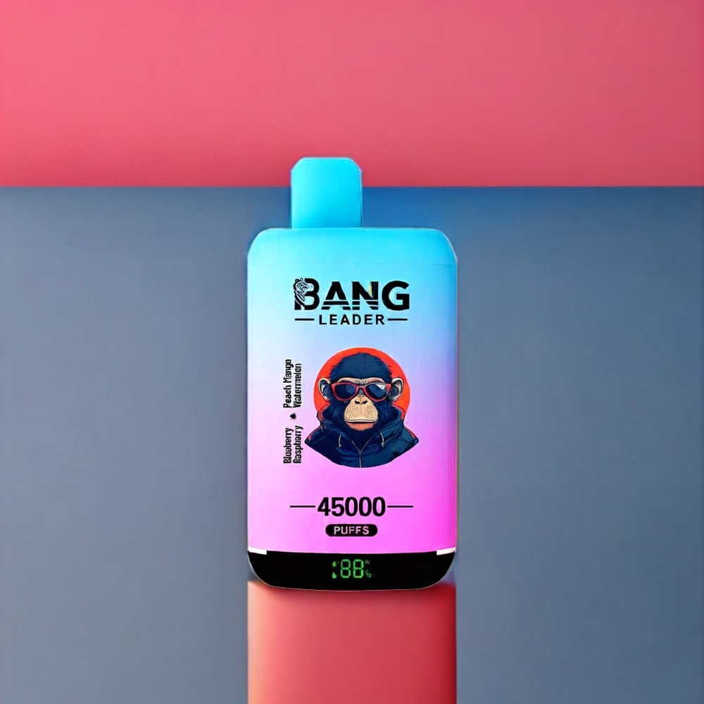 Bang Leader 45000 Puffs vape monouso Italia Ingrosso Mirtillo Lampone Pesca Mango Anguria con Schermo Intelligente, Porta Type-C e Design Dual Flavor 2-in-1