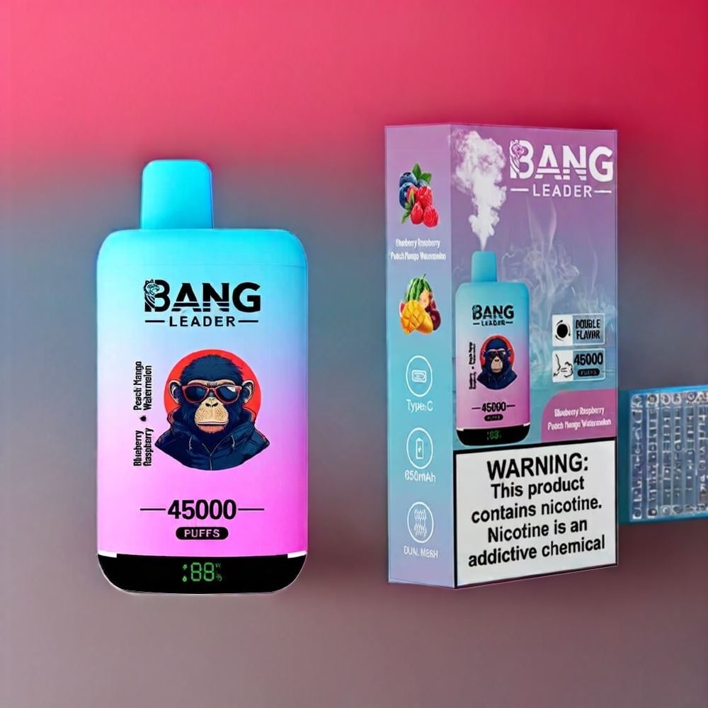 Bang Leader 45000 Puffs vape monouso Italia Ingrosso Mirtillo Lampone Pesca Mango Anguria con Schermo Intelligente, Porta Type-C e Design Dual Flavor 2-in-1