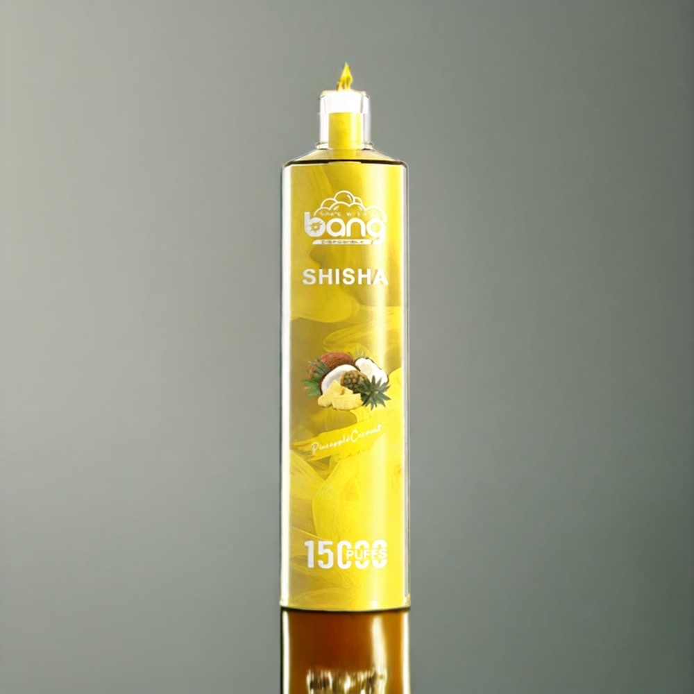 Bang Shisha Italia Ingrosso 15000 Puff vape monouso Ananas Cocco - 23ml E-liquid, Tipo-C Ricarica, Batteria 600mAh, Tecnologia DTL Avanzata