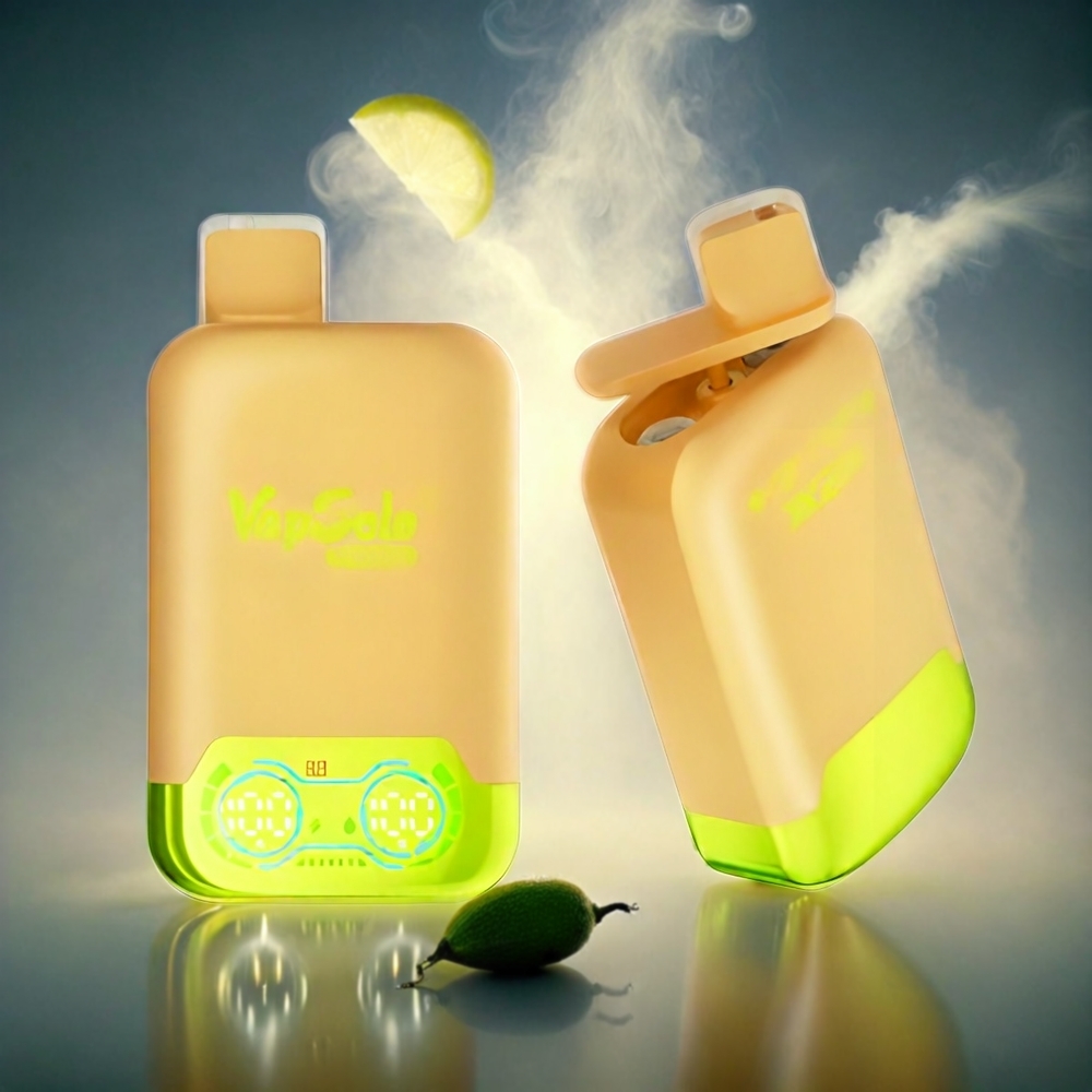 Vapsolo Twins 20000 Puffs Italia Ingrosso Vape Limone Lime & Anguria Ghiacciata - 40ml E-Liquid, 20mg/50mg Nicotina, Doppio Serbatoio, Ricarica Type-C