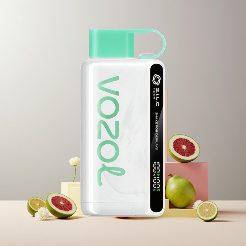 VOZOL STAR 9000/12000 Disposable Vape Menta Fresca Italia Ingrosso con Ricarica Rapida 30%, S.i.L.C TECH e 650mAh