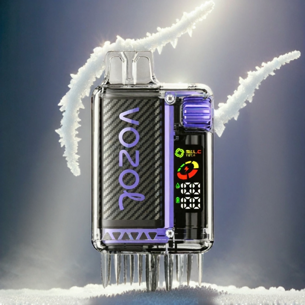 VOZOL Vista 20000 Puffs Italia Ingrosso Ricaricabile con Batteria 650mAh E-Sigaretta Grape Ice Ghiacciato, Display OLED, S.i.L.C Tech Bobina a doppia maglia, 6 Livelli di Potenza, TPD Conforme